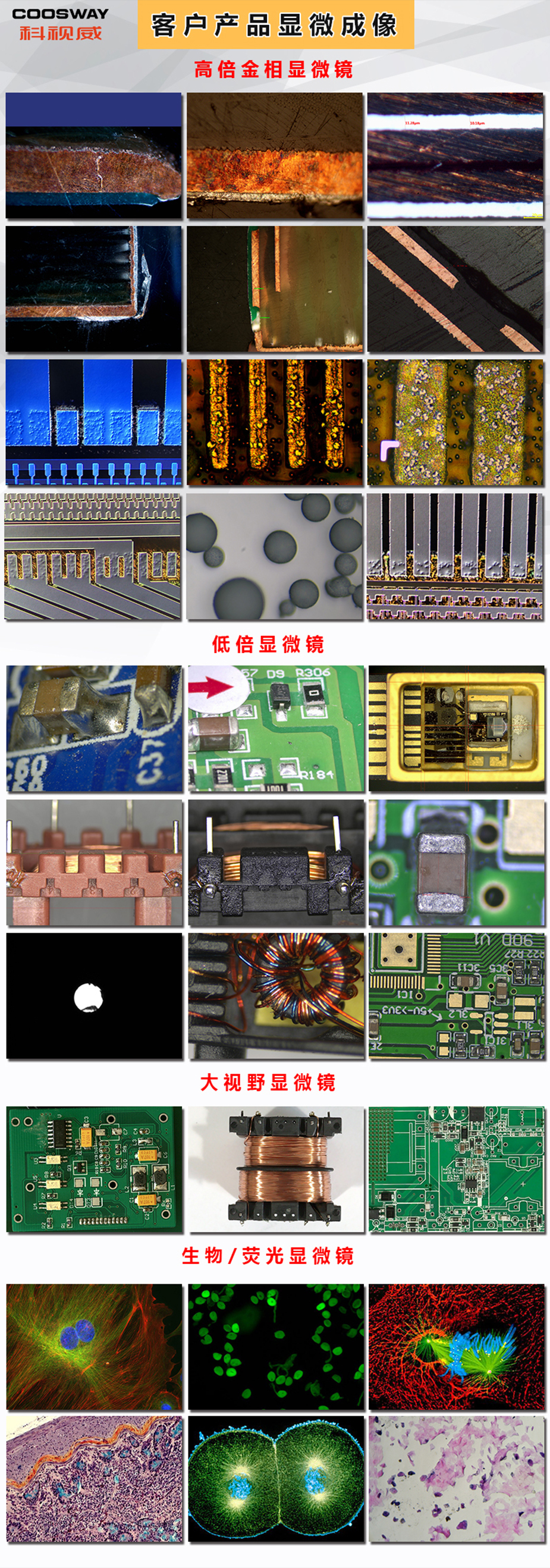 1592968943536179.jpg 显微镜成像-925.jpg